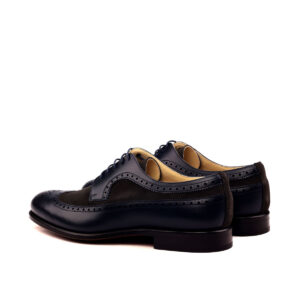 Longwing Blucher